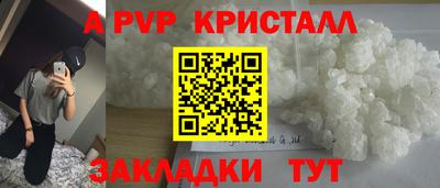 стаф Заводоуковск