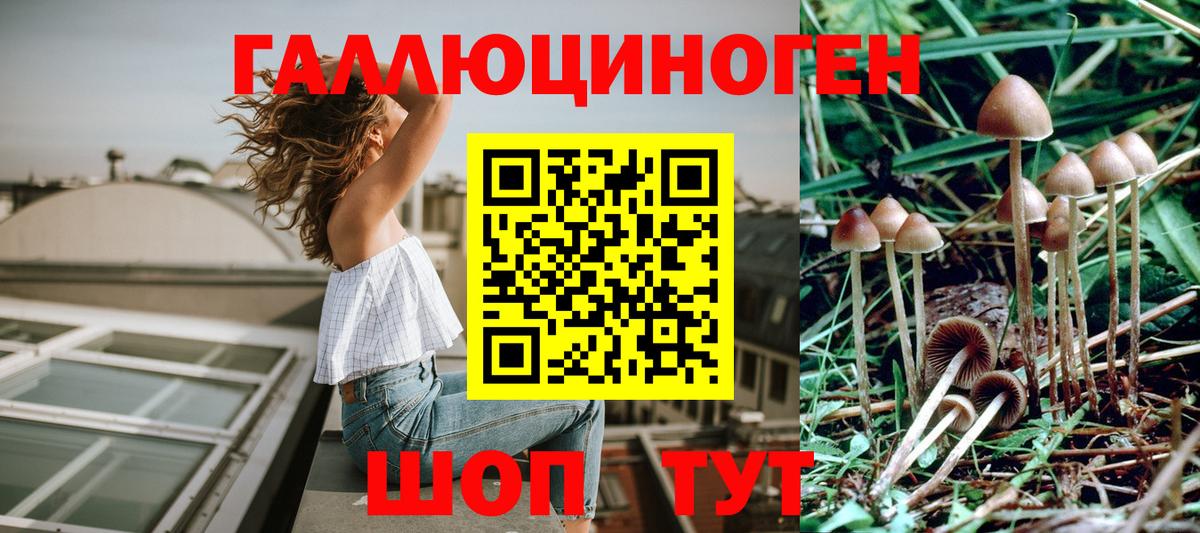 Псилоцибиновые грибы Magic Shrooms Кимры