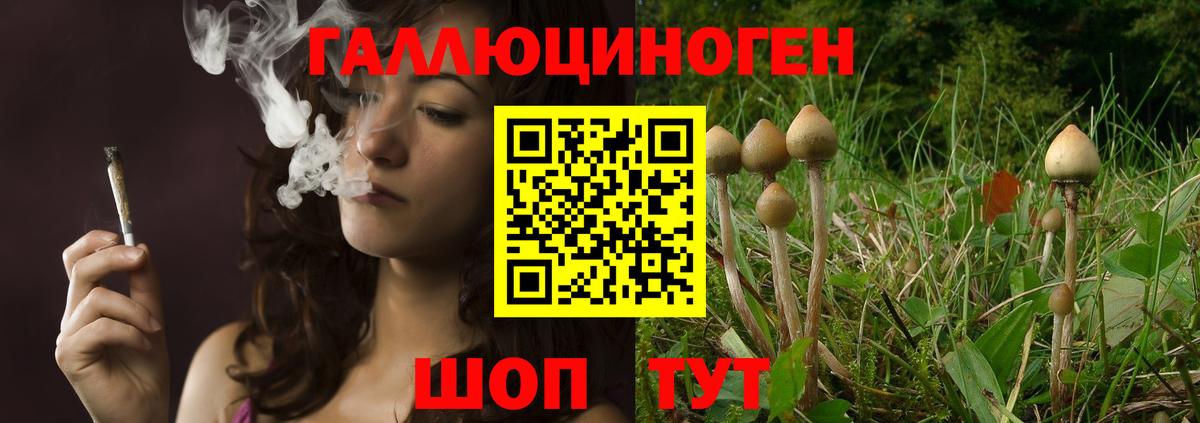 Кимры  Галлюциногенные грибы ЛСД  где продают   Вход с VPN 